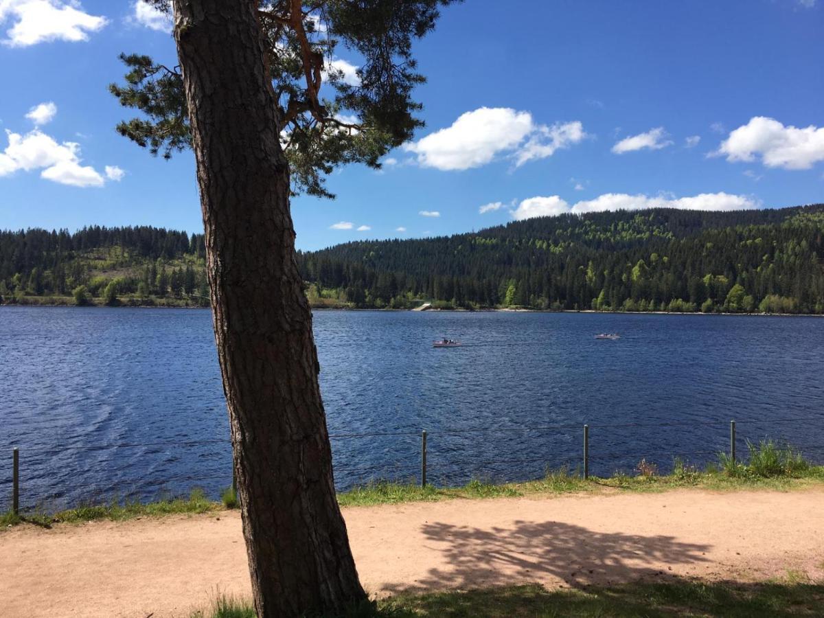 Appartamento Schwarzwaldglueck Schluchsee Esterno foto