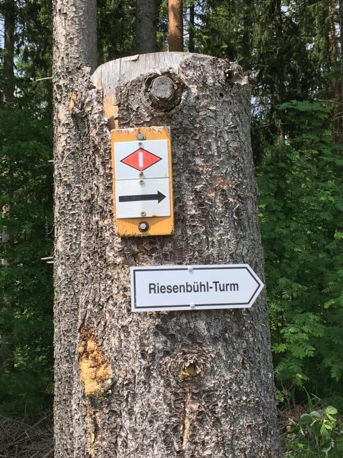Appartamento Schwarzwaldglueck Schluchsee Esterno foto