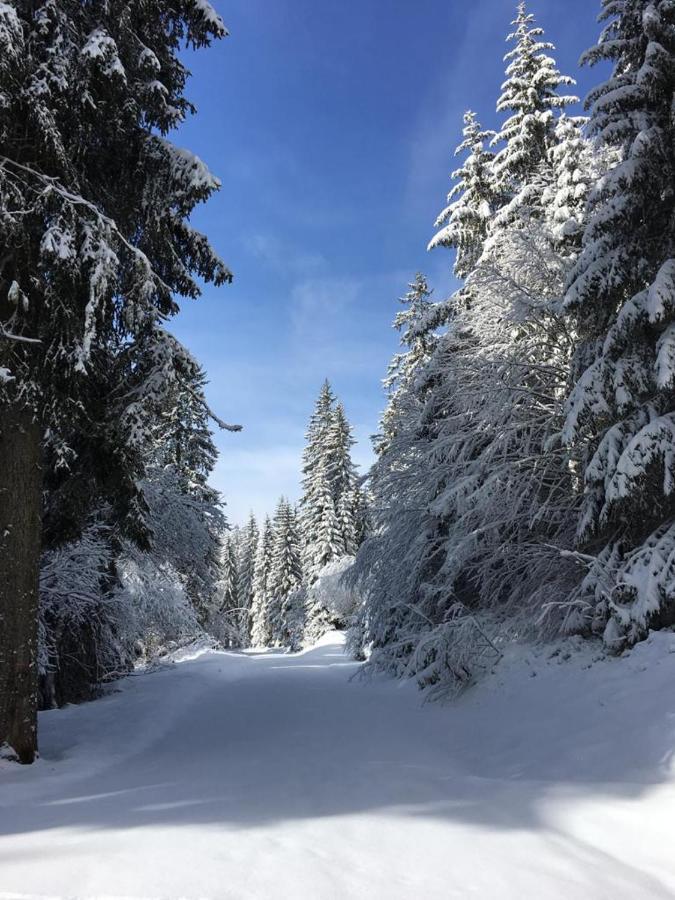 Appartamento Schwarzwaldglueck Schluchsee Esterno foto