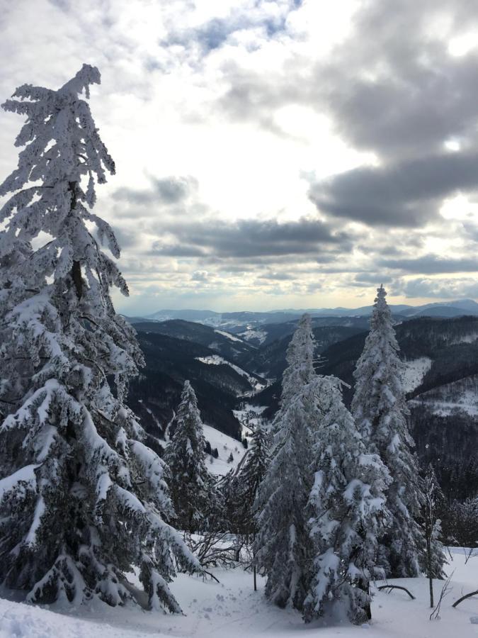 Appartamento Schwarzwaldglueck Schluchsee Esterno foto