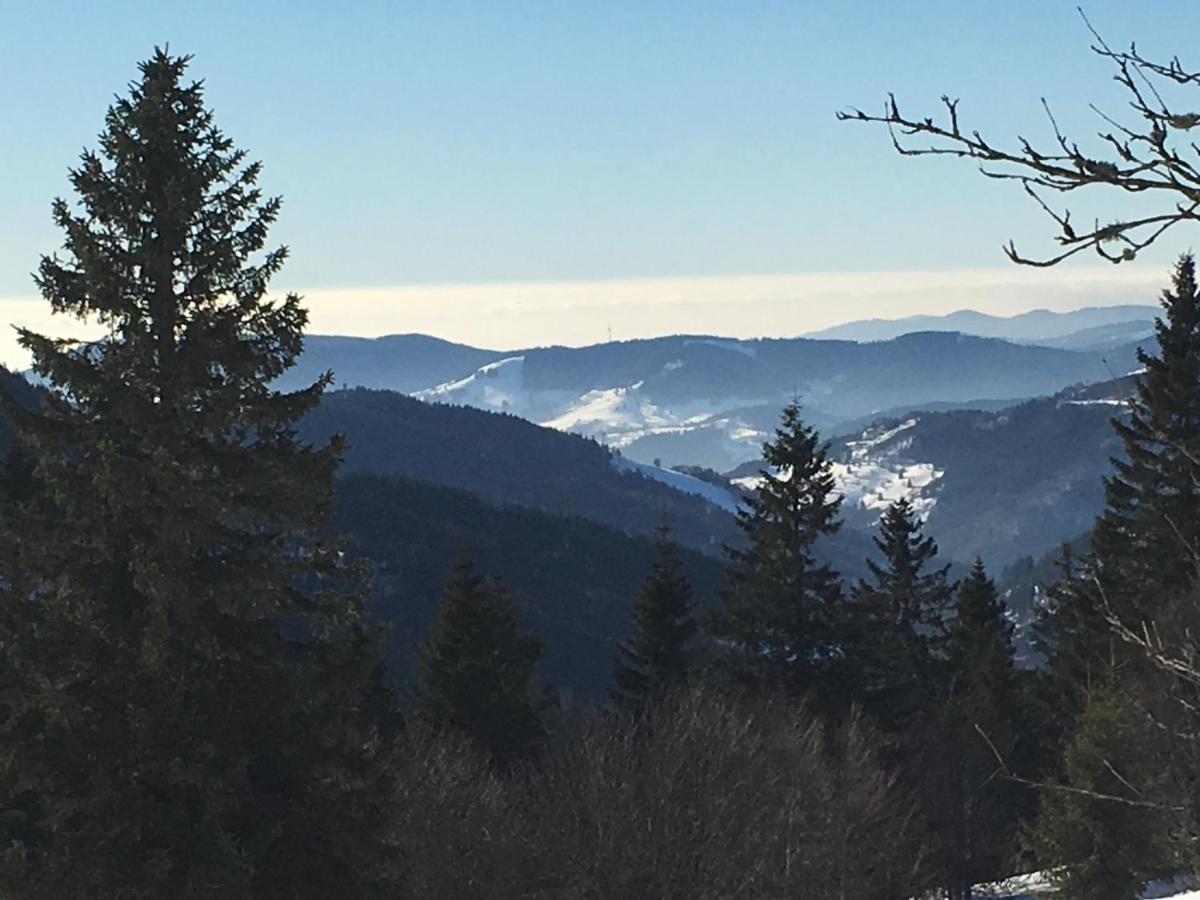 Appartamento Schwarzwaldglueck Schluchsee Esterno foto